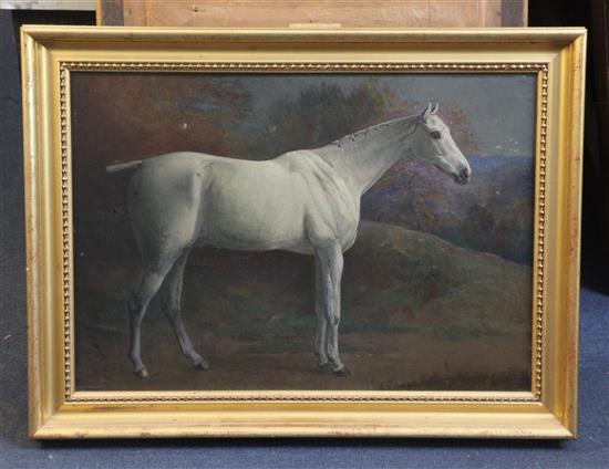 Frank P. Mahony (1862-1916) Portrait of a grey horse Smoke 13.5 x 19.5in.